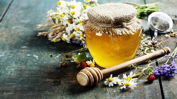 تصویر 3 از قیمت خرید عسل گون خالص + فروش ویژه